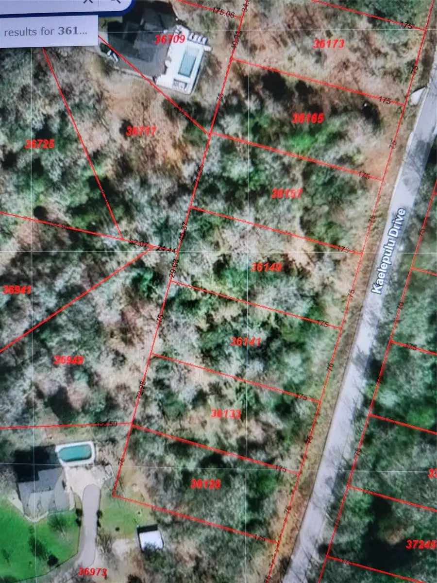 36141 & 36149 Kaelepulu Dr, Bastrop, TX 78602 - #2