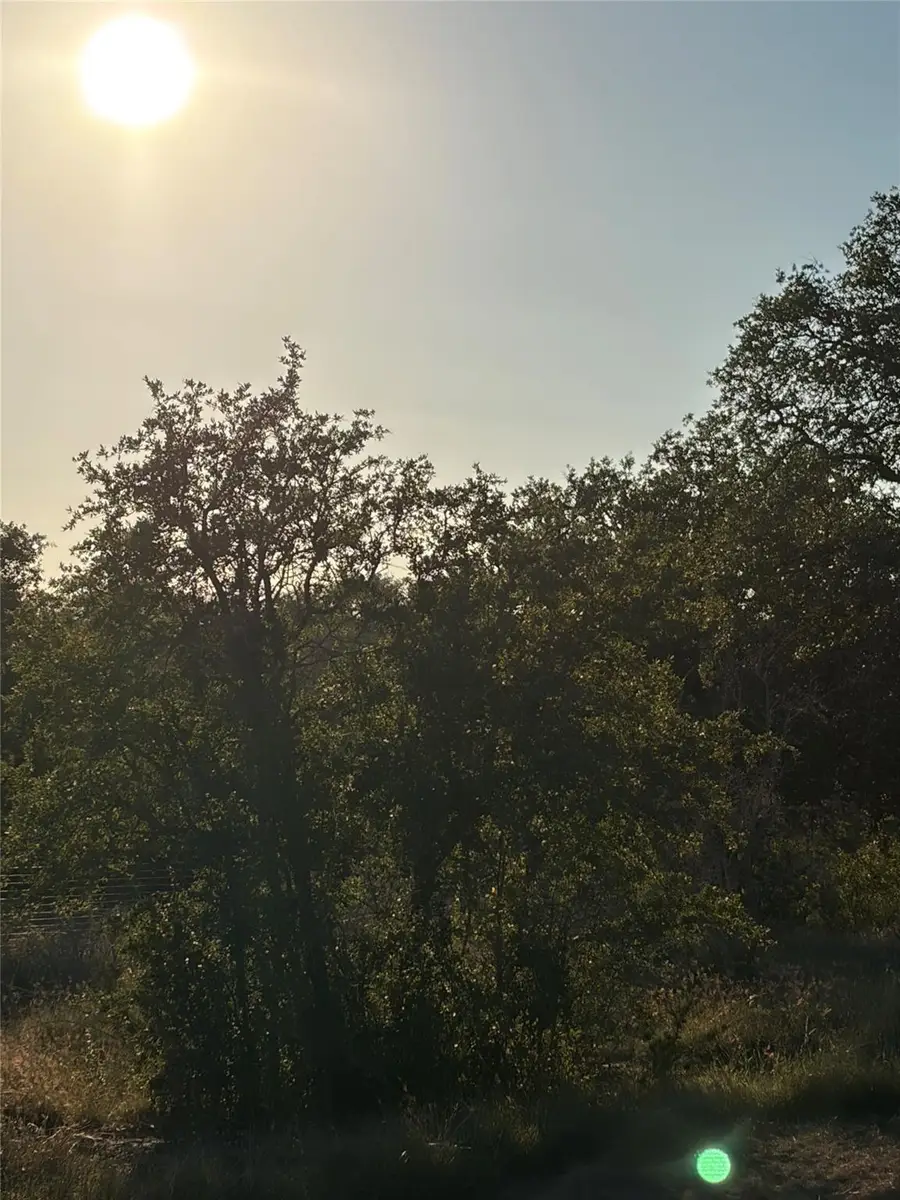 1212 County Road 407, Spicewood, TX 78669 - Image #2