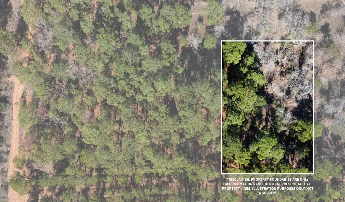 0 Pine Lodge Drive, Bastrop, TX 78602 - Image #1