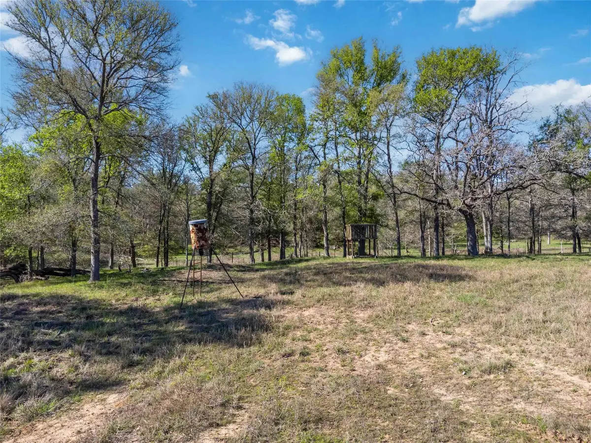 0000 Sandy Creek Rd, Red Rock, TX 78662 - #1