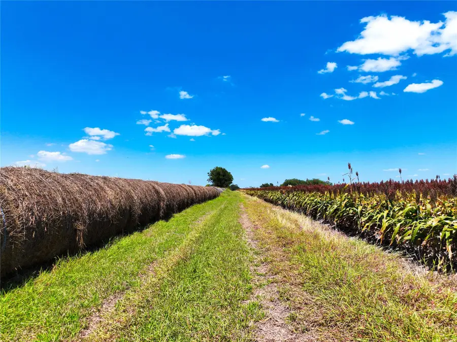 0000 Fm 621, Martindale, TX 78655 - #2