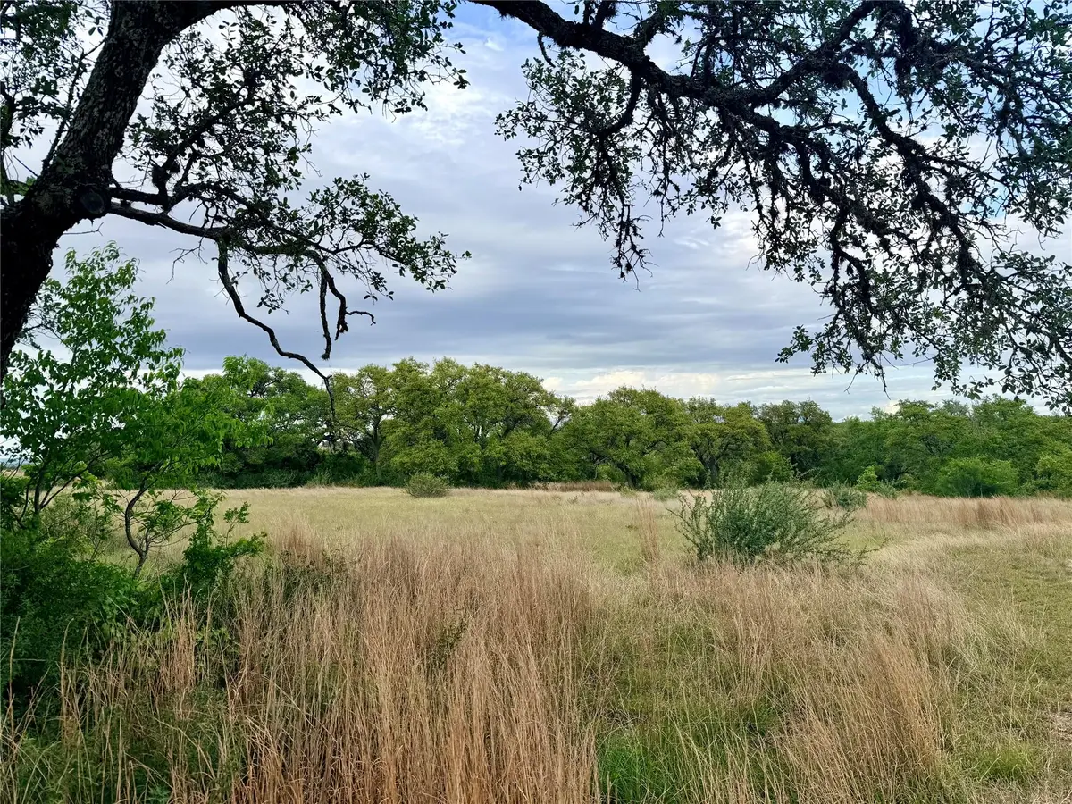 768 N Walnut Springs Rd, Johnson City, TX 78636 - #1