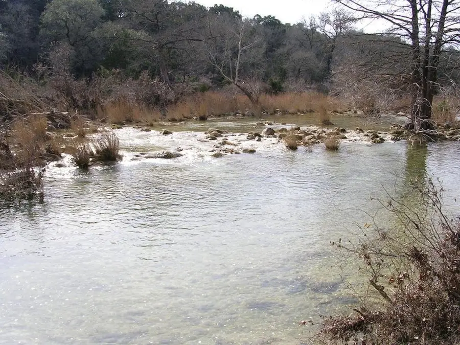 1081 Clark Cv, Buda, TX 78610 - #3