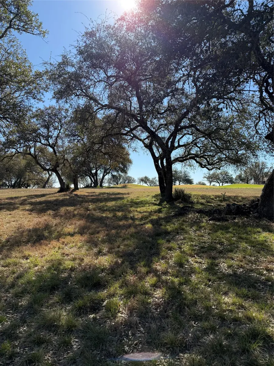 27113 Founders Pl, Spicewood, TX 78669 - #2