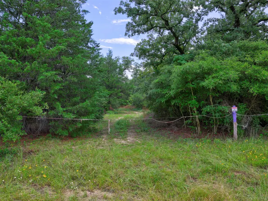 1420 Cr C, Lexington, TX 78947 - #3