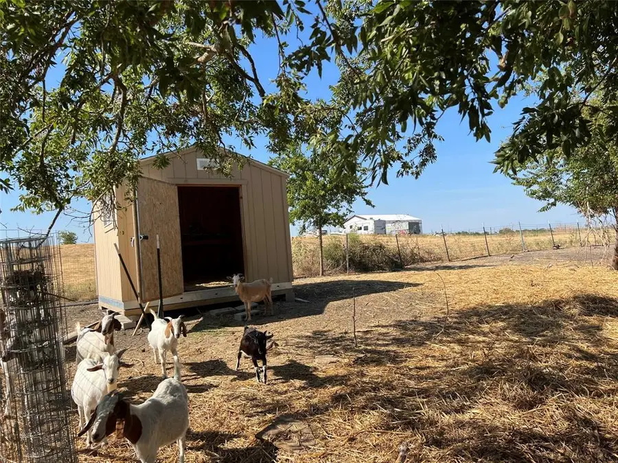 7250 Fm 112, Thrall, TX 76578 - Image #3