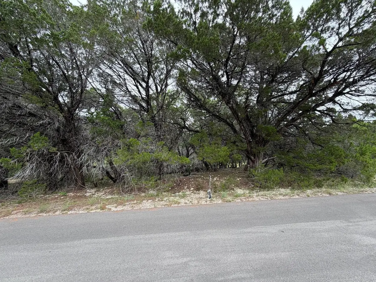20014 Continental Dr, Lago Vista, TX 78645 - #1