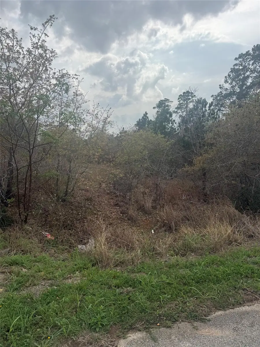 TBD Mauna Kea Ln, Bastrop, TX 78602 - #2