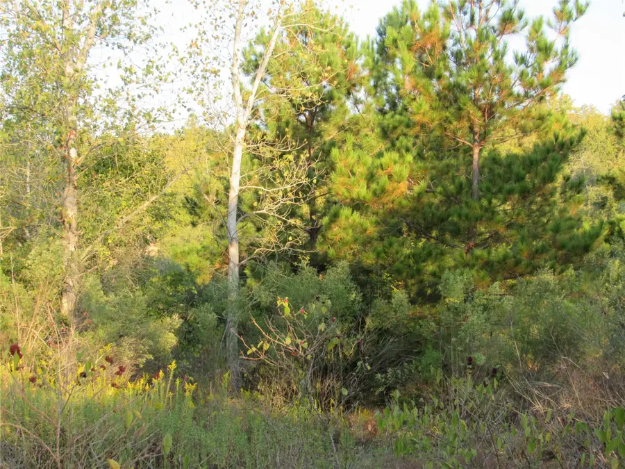 001 Kipahulu Ln, Bastrop, TX 78602 - Image #3