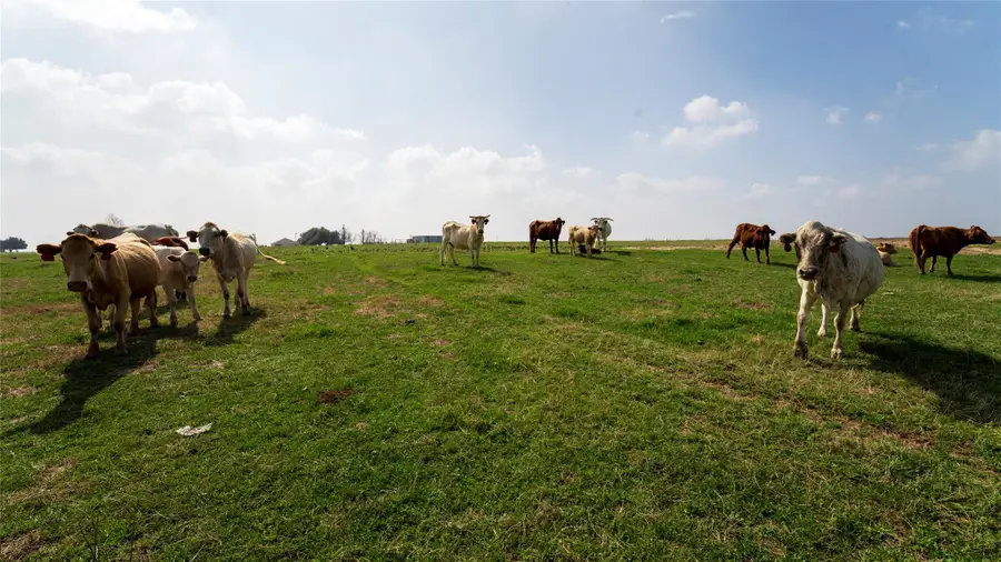 659 County Road 463, Thorndale, TX 76577 - #2