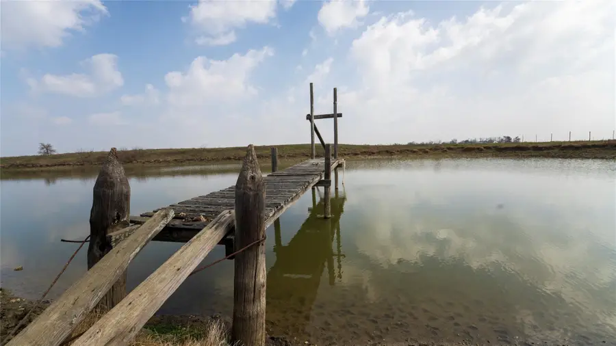 659 County Road 463, Thorndale, TX 76577 - #3