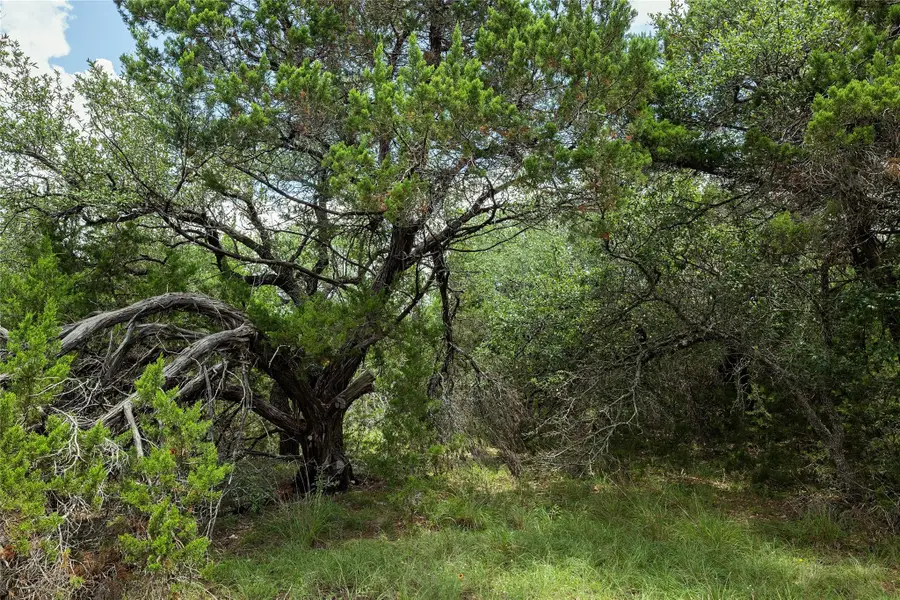 179 Shawnee Trl, Dripping Springs, TX 78620 - #3