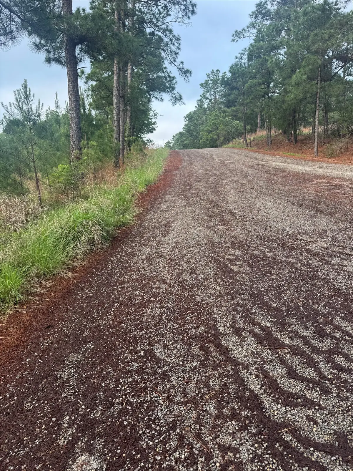 Lot 1491 Haleakala, Bastrop, TX 78602 - #1
