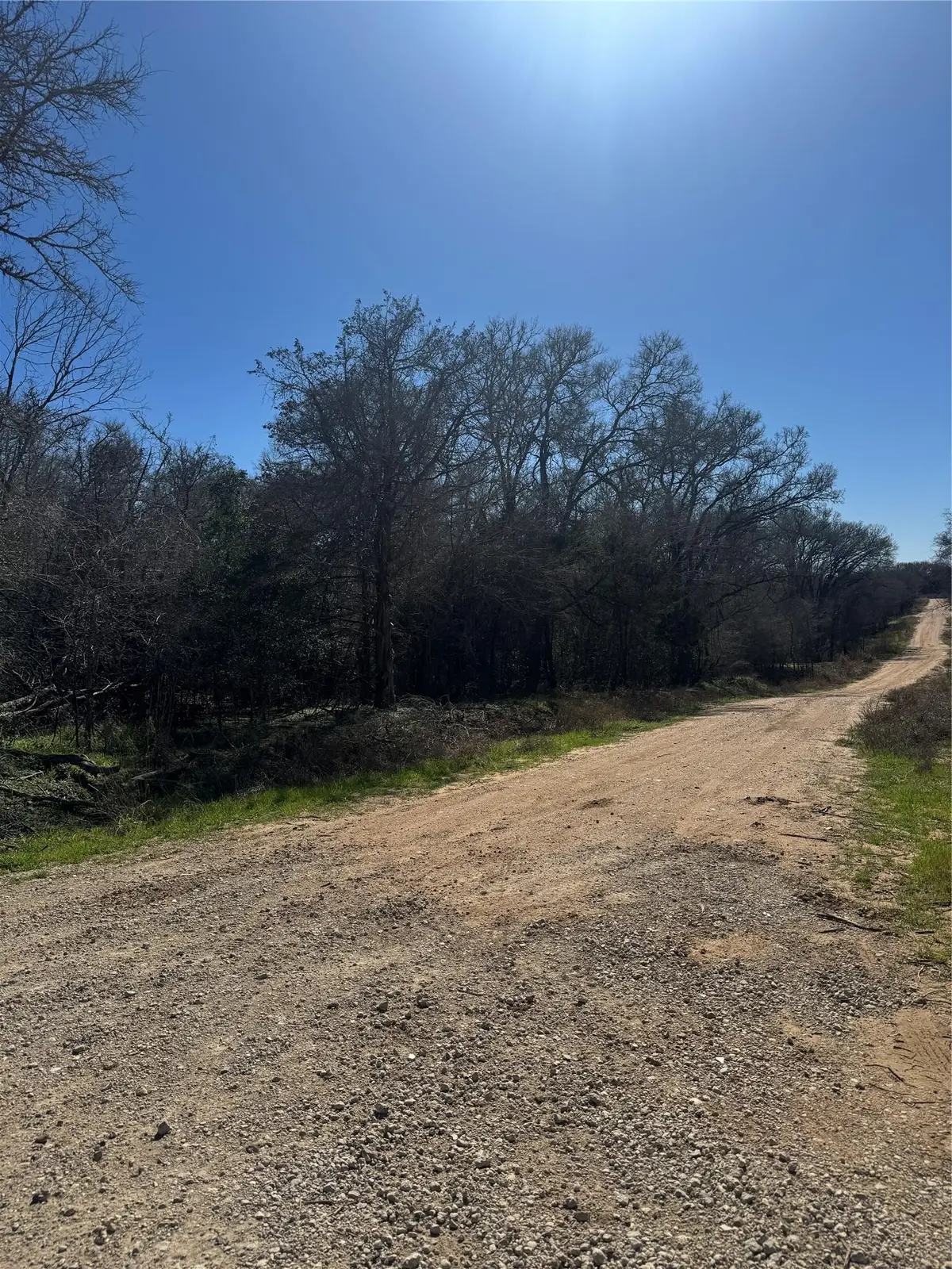 Lot 321 Kolekole Ln, Bastrop, TX 78602 - #1