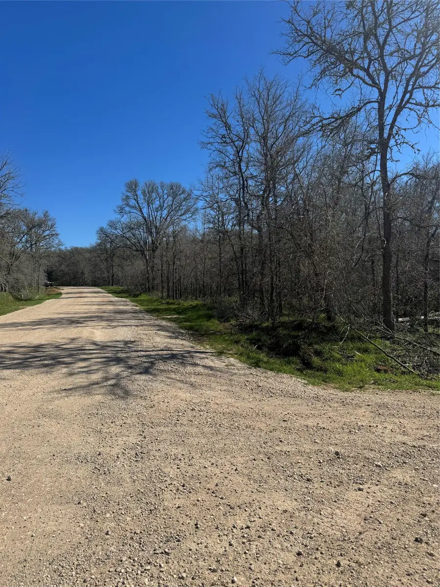 Lot 321 Kolekole Ln, Bastrop, TX 78602 - #2