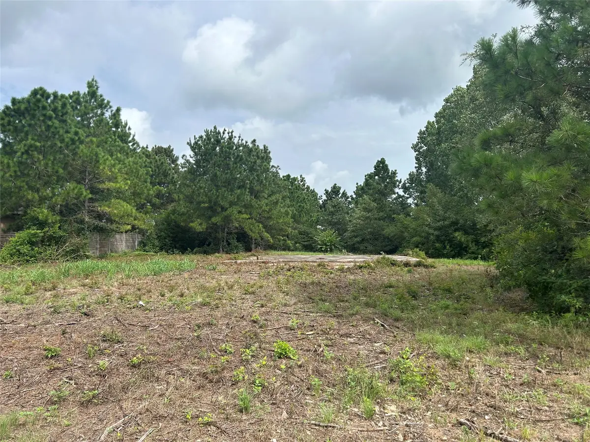 158 Cardinal Loop, Paige, TX 78659 - #1