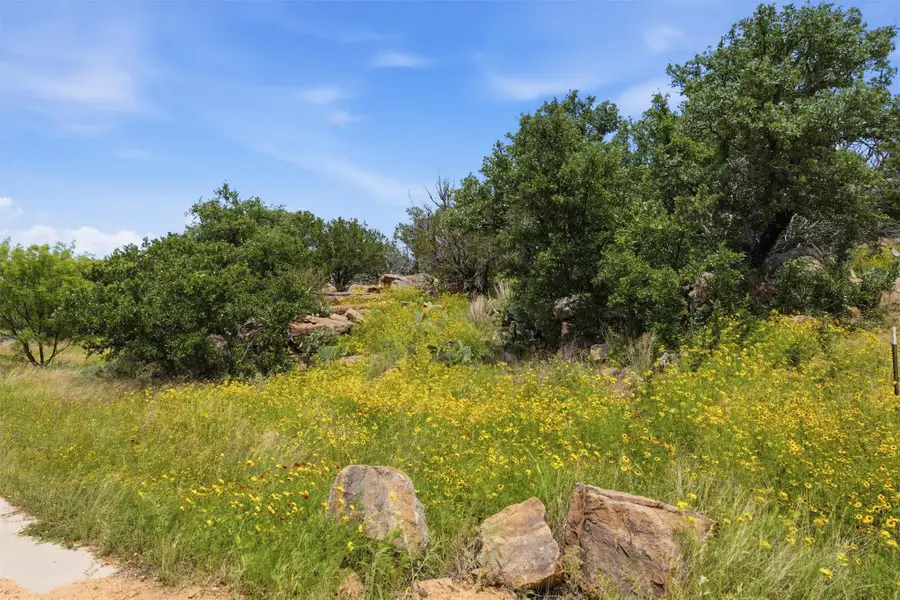(Lot 30) Peninsula Dr, Burnet, TX 78611 - #2