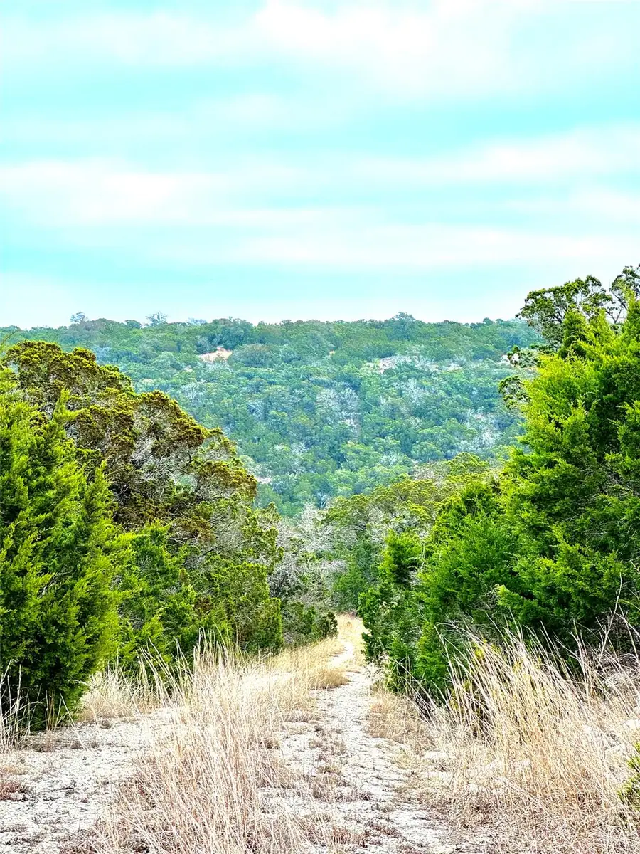 424 Armadillo Trail Dr E, Comfort, TX 78013 - #3