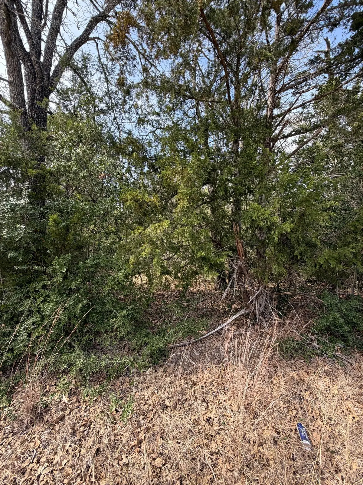 Lot 20 Flint Ridge St, Bastrop, TX 78602 - #1