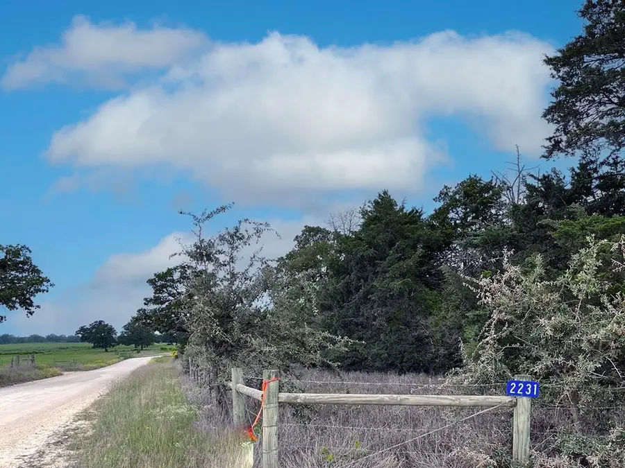2231 Greens Creek Rd, Ledbetter, TX 78946 - #2