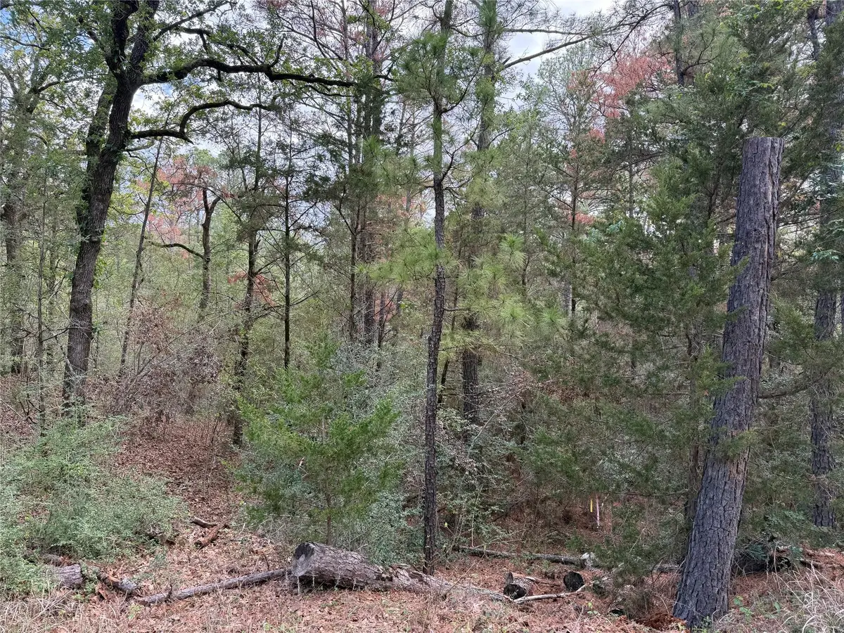125 Lamaloa Ln, Bastrop, TX 78602 - #1