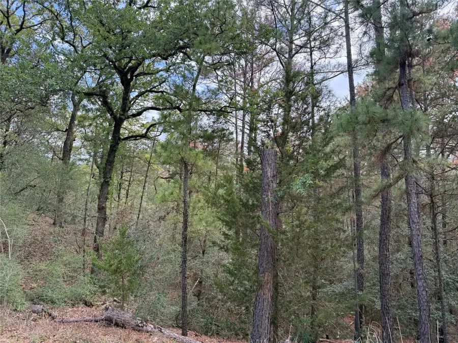 125 Lamaloa Ln, Bastrop, TX 78602 - #2