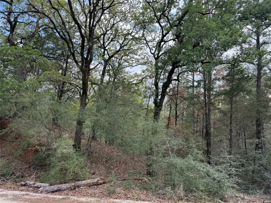 125 Lamaloa Ln, Bastrop, TX 78602 - #3