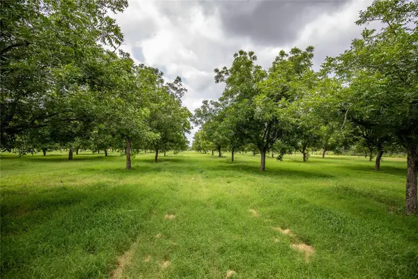 2432 County Road 402 B, Falfurrias, TX 78355