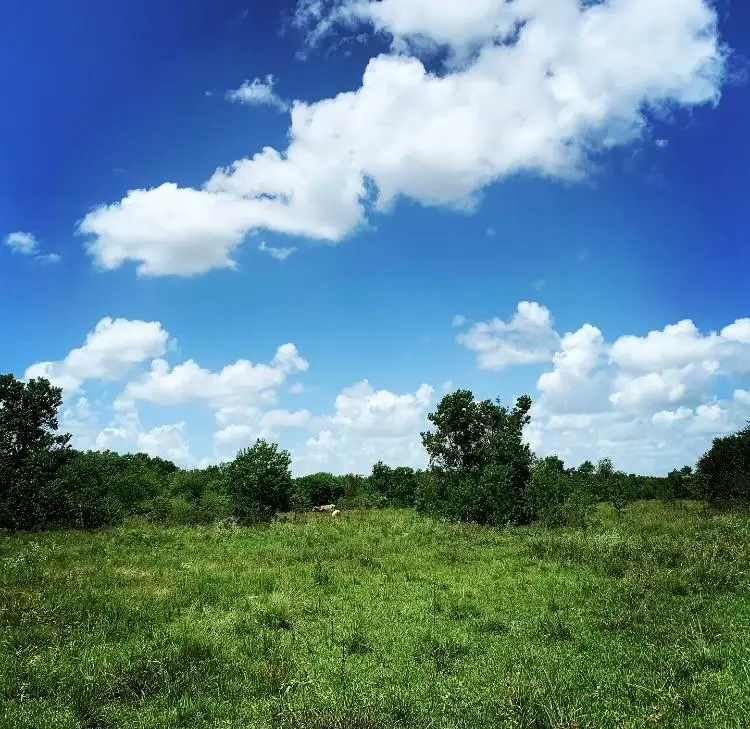 00000 Fm 1462 Rd, Brazoria West Columbia, TX 77430 - #1