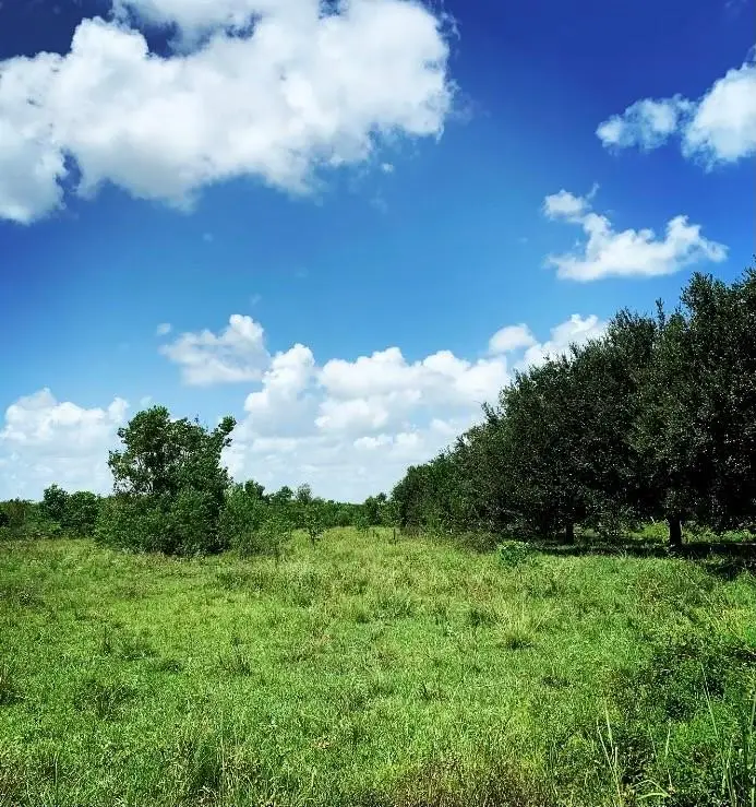 00000 Fm 1462 Rd, Brazoria West Columbia, TX 77430 - #3