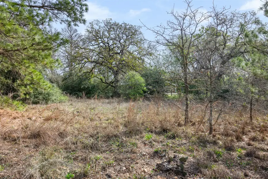 LOT 1 Indian Oak Dr, Bastrop, TX 78602 - #2
