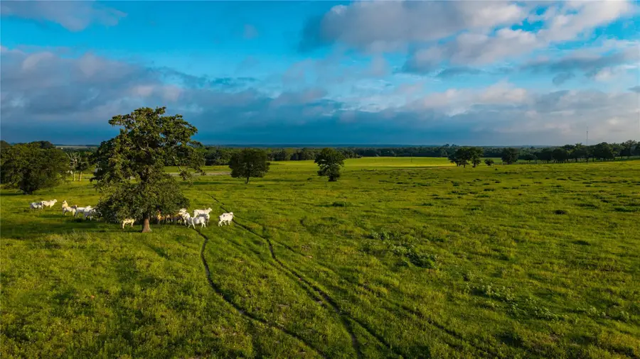 000 Hofferek Rd, Rosanky, TX 78953 - #3