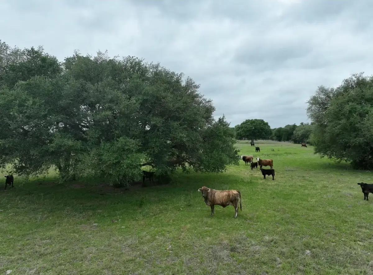 TBD CR 127 Cr 127 Rd, Ledbetter, TX 78946 - #1