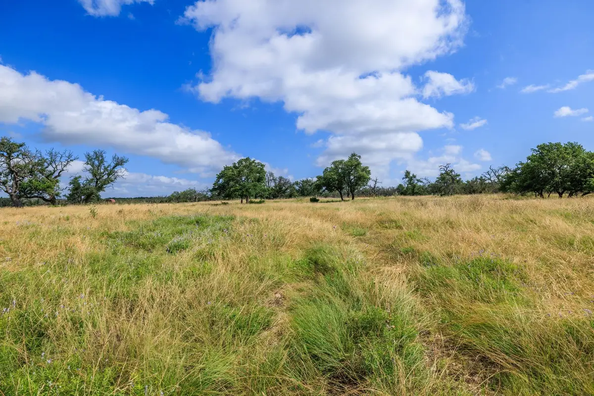 436 Stevens Ranch Rd, Harper, TX 78631 - #1