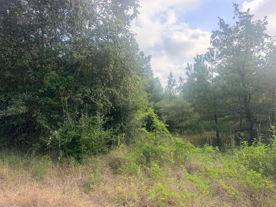 119 S Buckhorn Dr, Bastrop, TX 78602 - #2