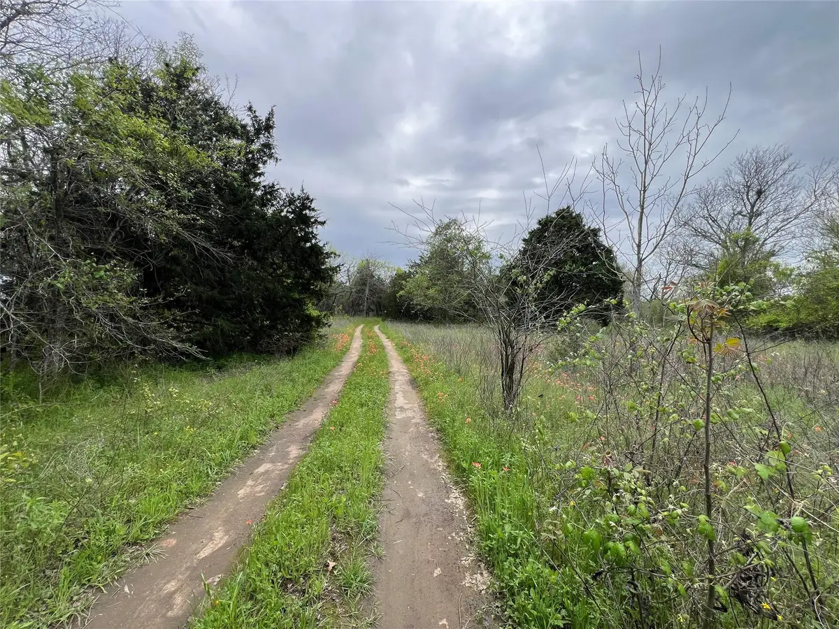 0B Fm 86, Red Rock, TX 78662 - #1
