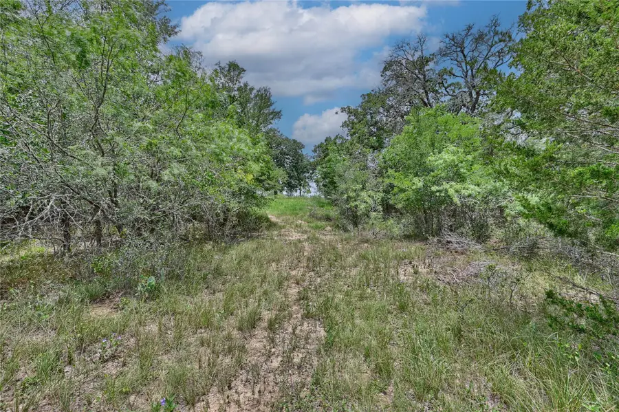Lot 3-8 (3.001 Acres) Starlight Path, Red Rock, TX 78662 - #3