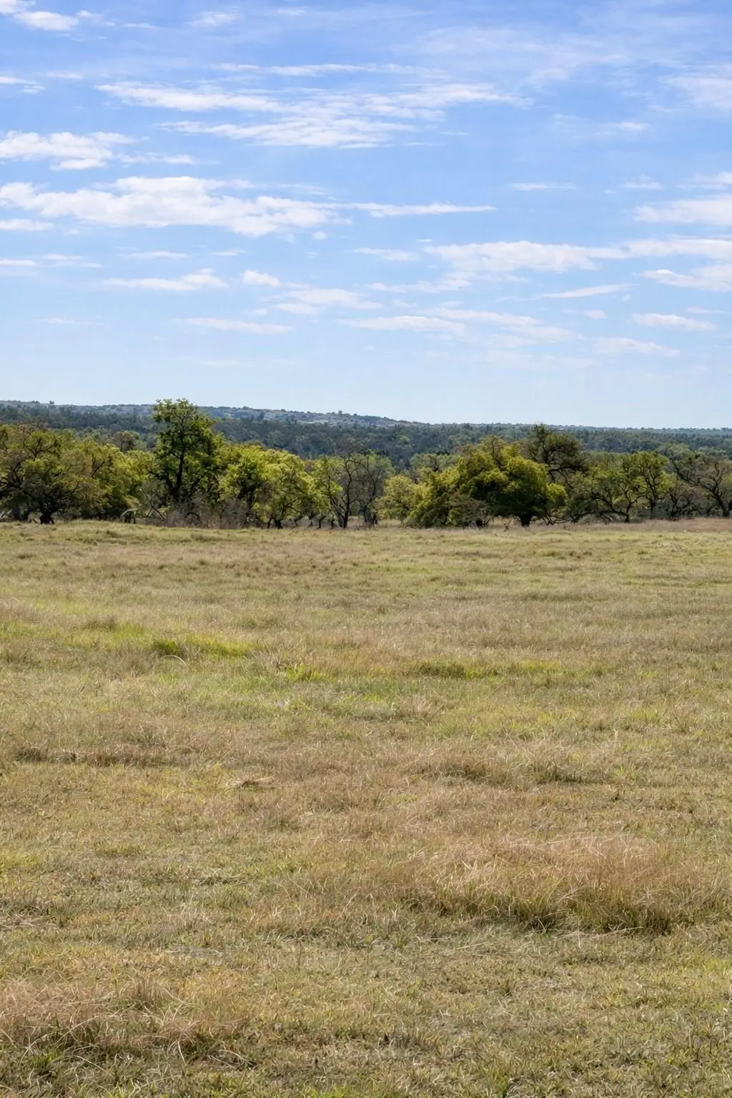 Lot 42 Reeh Rd, Fredericksburg, TX 78631 - #1
