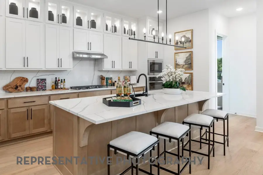 117 Wild Lily Trl, Georgetown, TX 78628 - #3