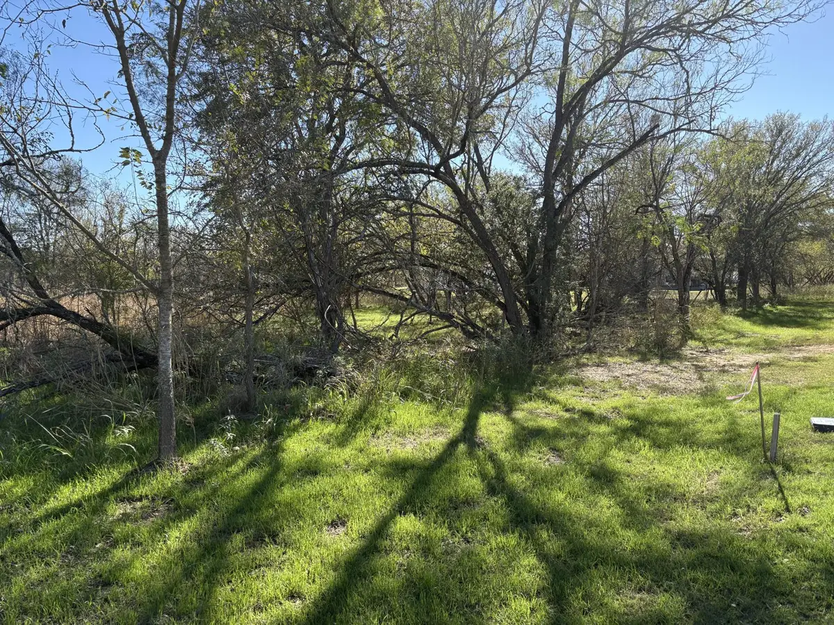 131 Waimanalo Dr, Bastrop, TX 78602 - Image #1