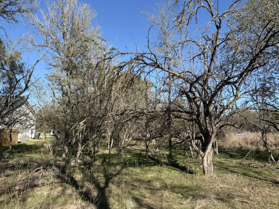 131 Waimanalo Dr, Bastrop, TX 78602 - Image #2