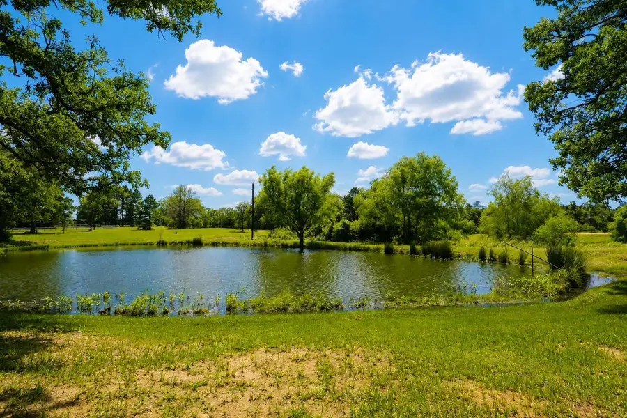 318 Grey Wolf Ln, Bastrop, TX 78602 - #3