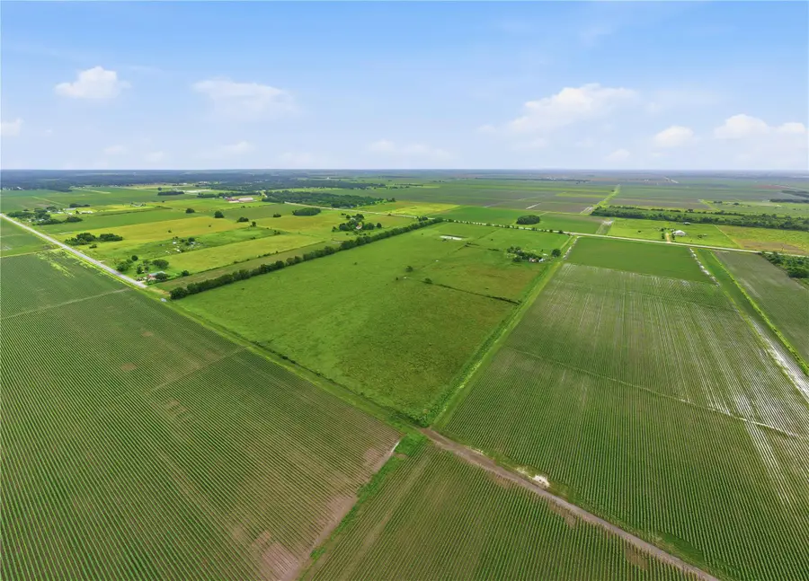 2011 Fm 2919 Rd, Beasley, TX 77417 - #3