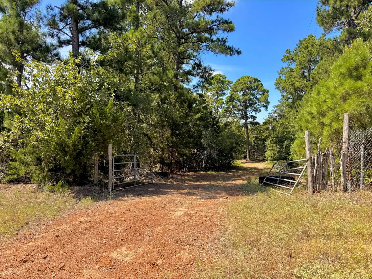 445 Pine Valley Loop, Smithville, TX 78957 - #1