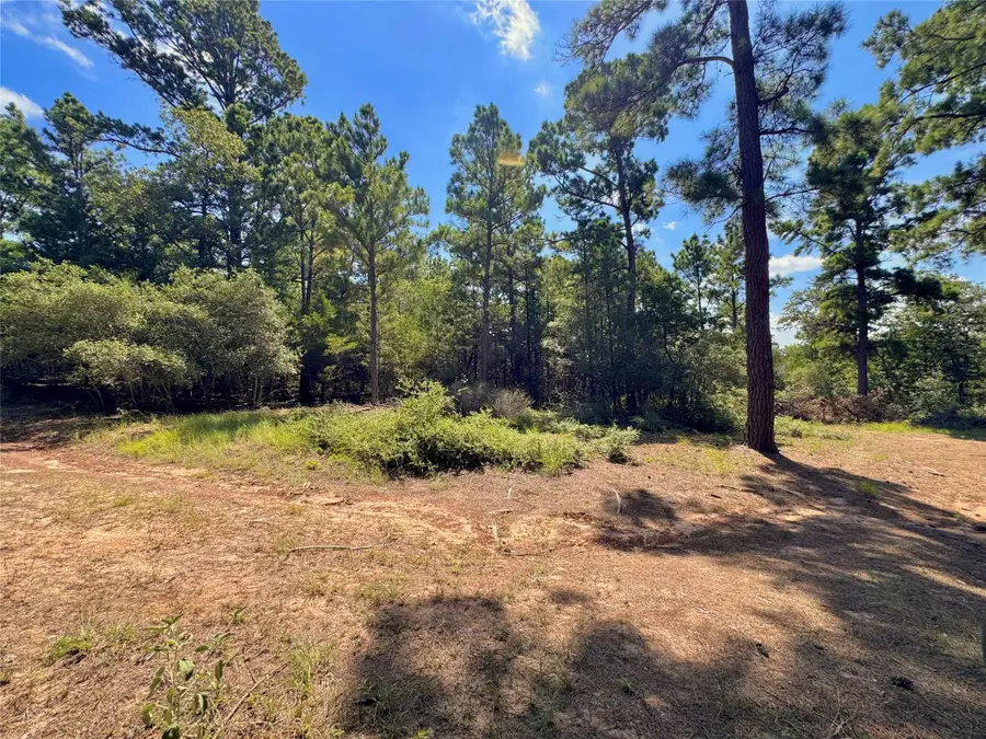 445 Pine Valley Loop, Smithville, TX 78957 - #2