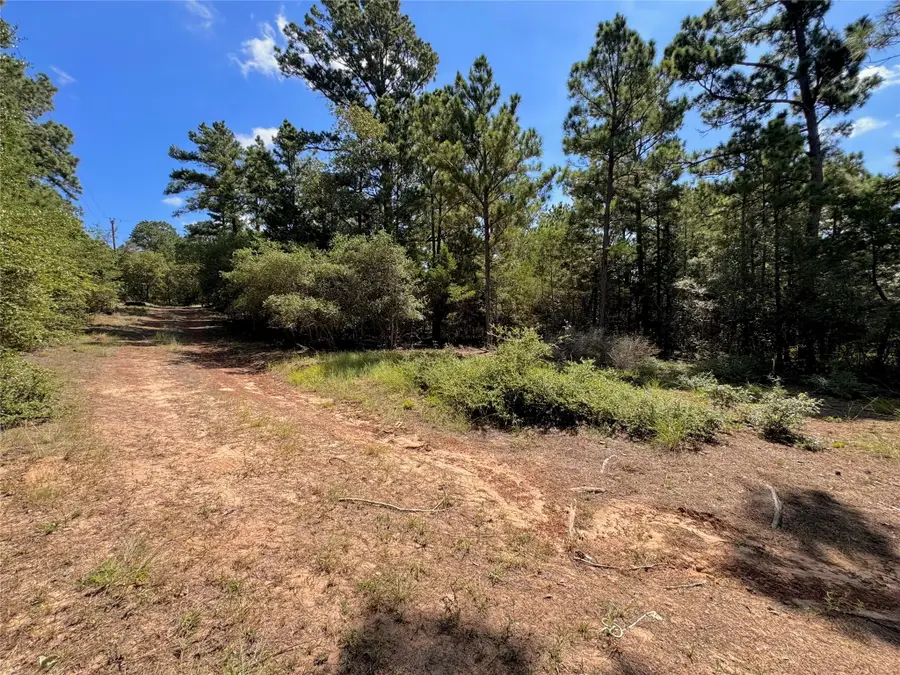 445 Pine Valley Loop, Smithville, TX 78957 - #3