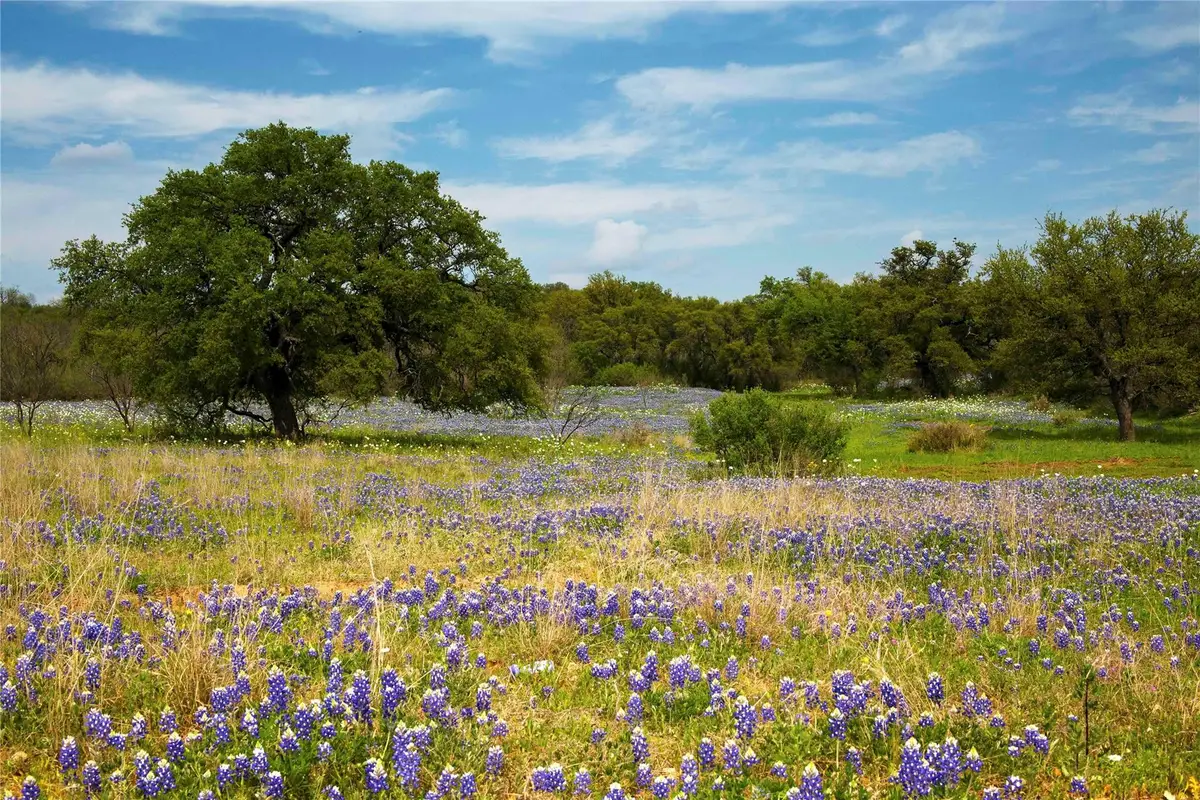 Lot 11 Maddalena Ln, Dripping Springs, TX 78620 - #1