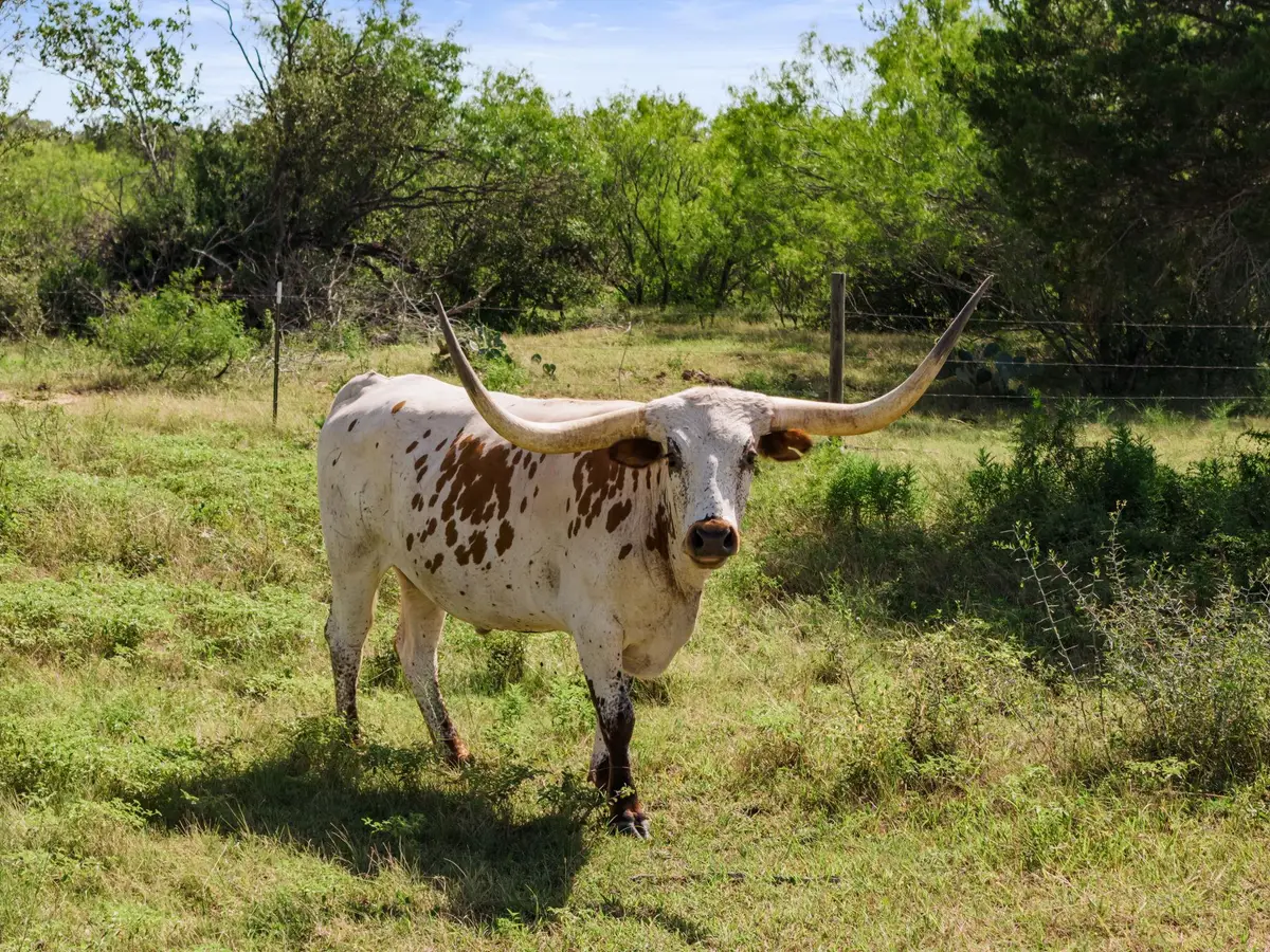 625 Callihan Rd, Luling, TX 78648 - #1