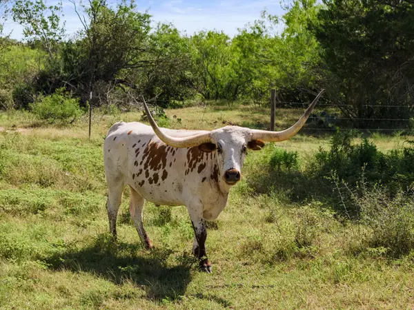 625 Callihan Rd, Luling, TX 78648