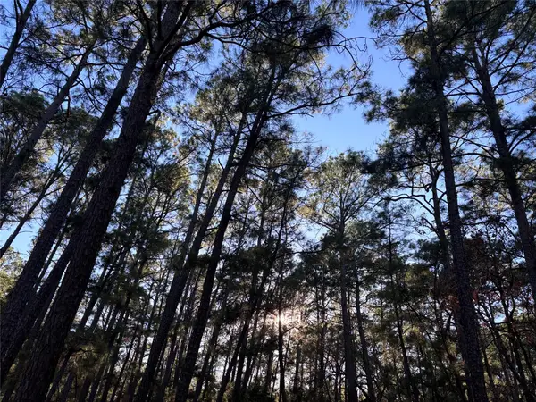 987 Stephen Ln, La Grange, TX 78945